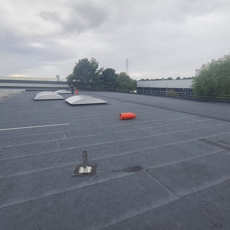 Flat Roof Project